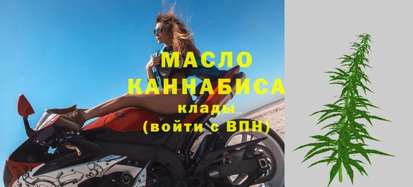 крисы Ивангород